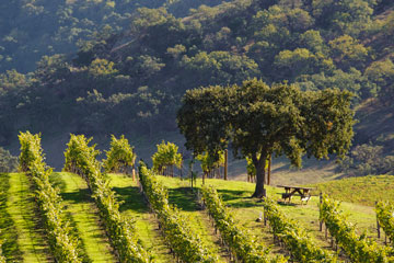 47-CordeValle-2009-131c 47-CordeValle-2009-131c