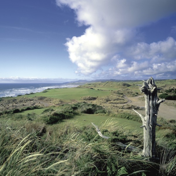 Bandon Dunes Hole 6