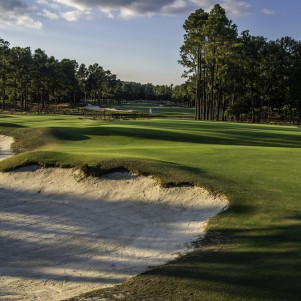 Pinehurst Resort Course #2, Hole 15