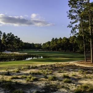 Pinehurst Resort Course #2, Hole 16