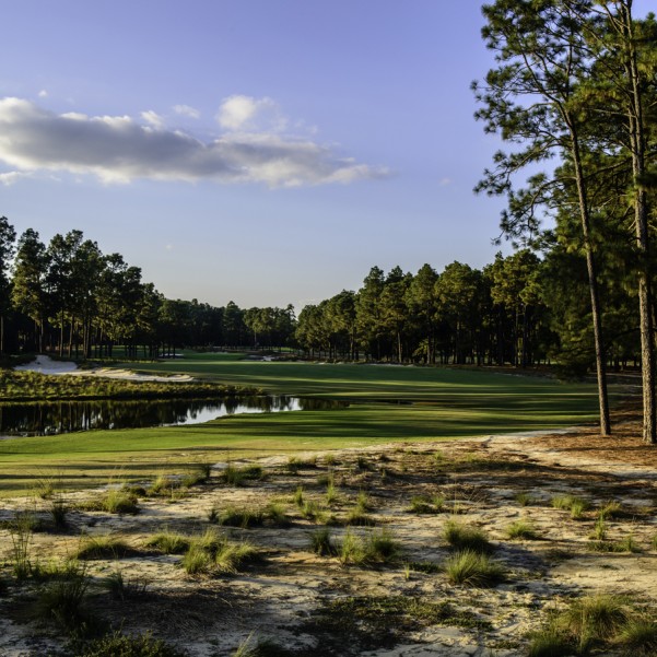 Pinehurst Resort Course #2 Hole 16