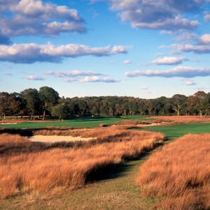 Shinnecock Hills Golf Club, Hole 5